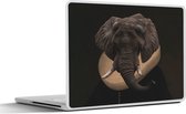 Autocollant pour ordinateur portable - 12,3 pouces - Peinture - Tête d'animal - Maîtres anciens