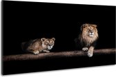 Schilderij -Leeuw en Leeuwin, 2 maten, wanddecoratie