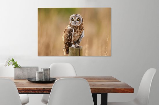 Tableau sur toile Gros plan d'un hibou des marais sur un poteau en bois - 90x60 cm - Décoration murale