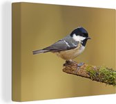 Tableau sur toile Une mésange noire au bout d'une branche - 40x30 cm - Décoration murale Art