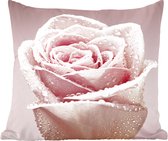 Sierkussens - Kussentjes Woonkamer - 40x40 cm - Dauwdruppeltjes op een enkele roze roos