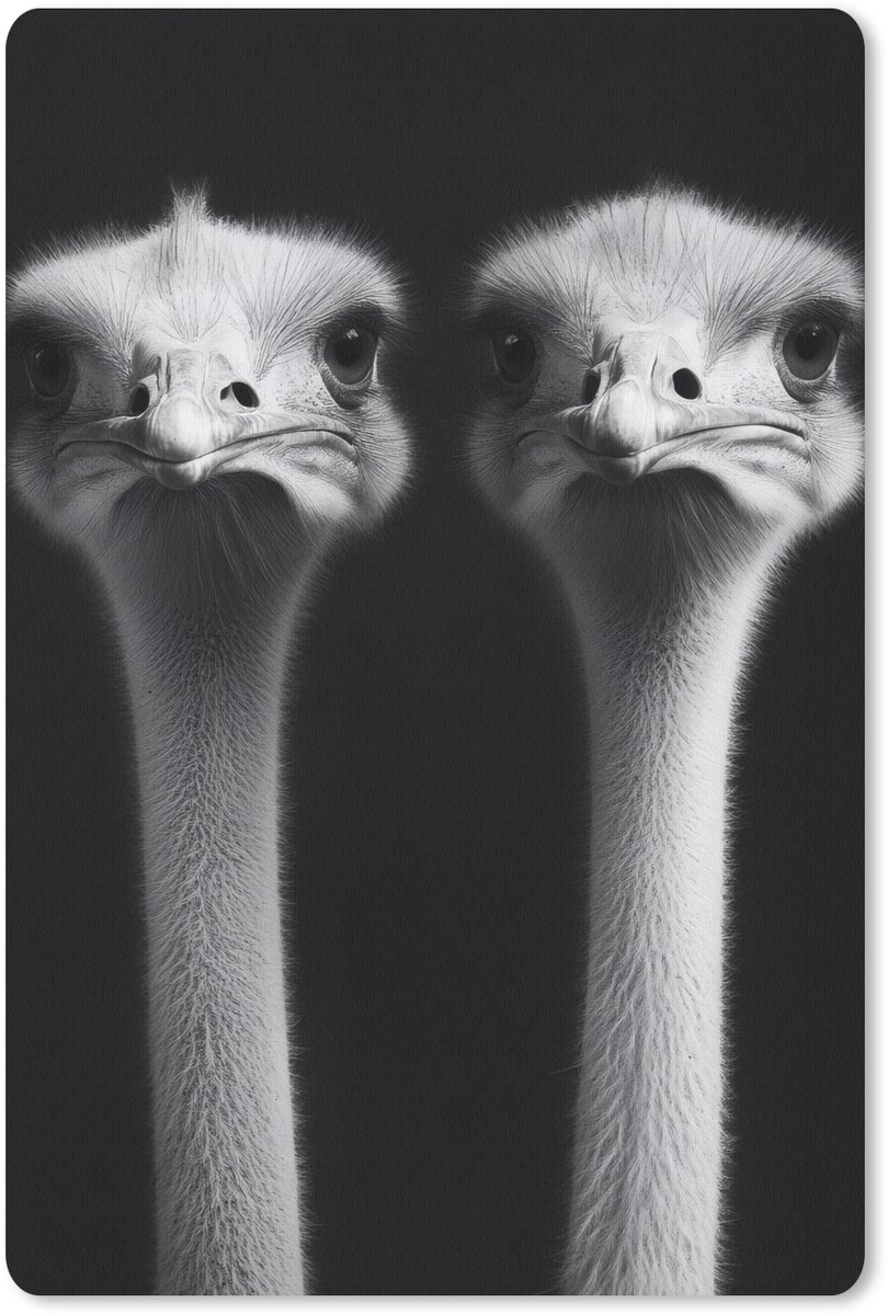 Muismat 18x27 cm - Mousepad Struisvogels - Halzen - Zwart - Minimalistisch - Muismatten