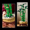 Collage d'une plante de bambou LEGO, gros plan sur les tiges et le pot.
