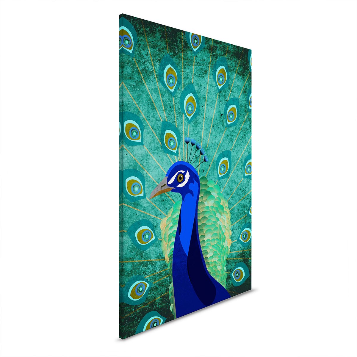 Canvas Peacock | DD131881