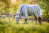 Horseware Vliegendeken Horseware Rambo Protector Met Hals Zilver-blauw - 140/191