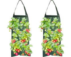 Allecto plus - 2 Hangende plantzakken voor aardbeien en groenten - Set van 2 - Ideaal voor thuistuin - Groen.