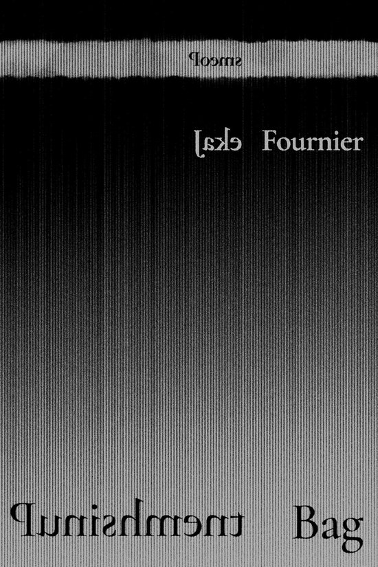 Mary Burritt Christiansen Poetry Series - Punishment Bag