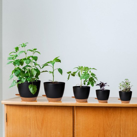 Plant zelfbewaterende spikes, automatische bewateringsset van 6 automatische bewateringssystemen voor balkon, tuin, planten, kamerplanten, potplanten, waterdruppel, voor buiten en binnen