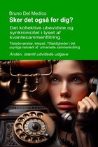 Sker det også for dig? Det kollektive ubevidste og synkronicitet i lyset af kvantesammenfiltring. Anden, stærkt udvidede udgave