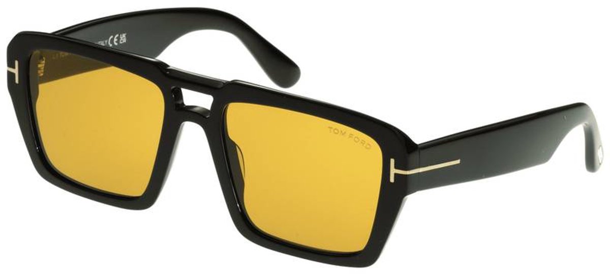 Zonnebrillen Tom Ford FT1153 01E
