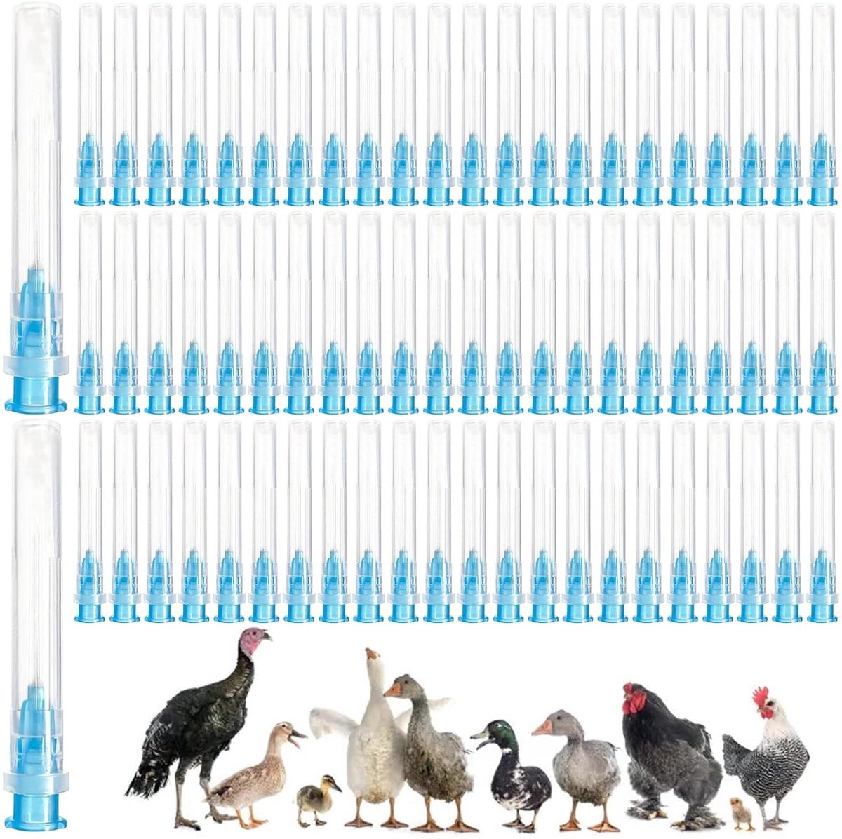Allecto Plus - Roestvrijstalen Spuitbussen 100 stuks voor Navulvloeistoffen 23 g - 06 x 25 mm - Industrie Wetenschappelijke Laboratoria - Dieren - Huisdieren-Buisjes voor Vogelpopulatie