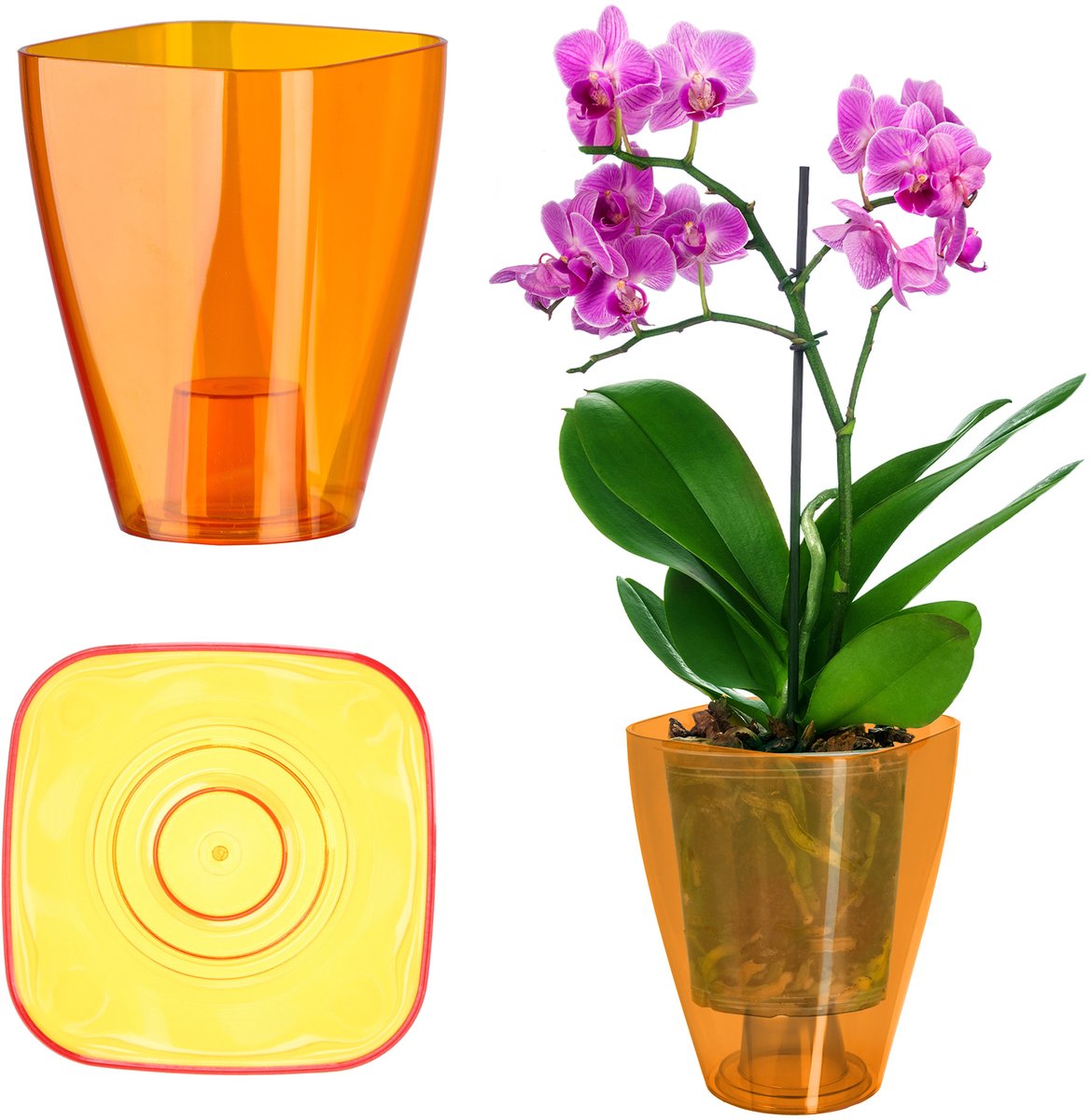 KADAX Bloempot, slanke orchideeënpot, eenvoudige plantenbak, bloempot voor orchidee, Moeras Madeliefjes, plantenbak voor keuken en woonkamer (Ø 9 cm, vierkant, oranje)