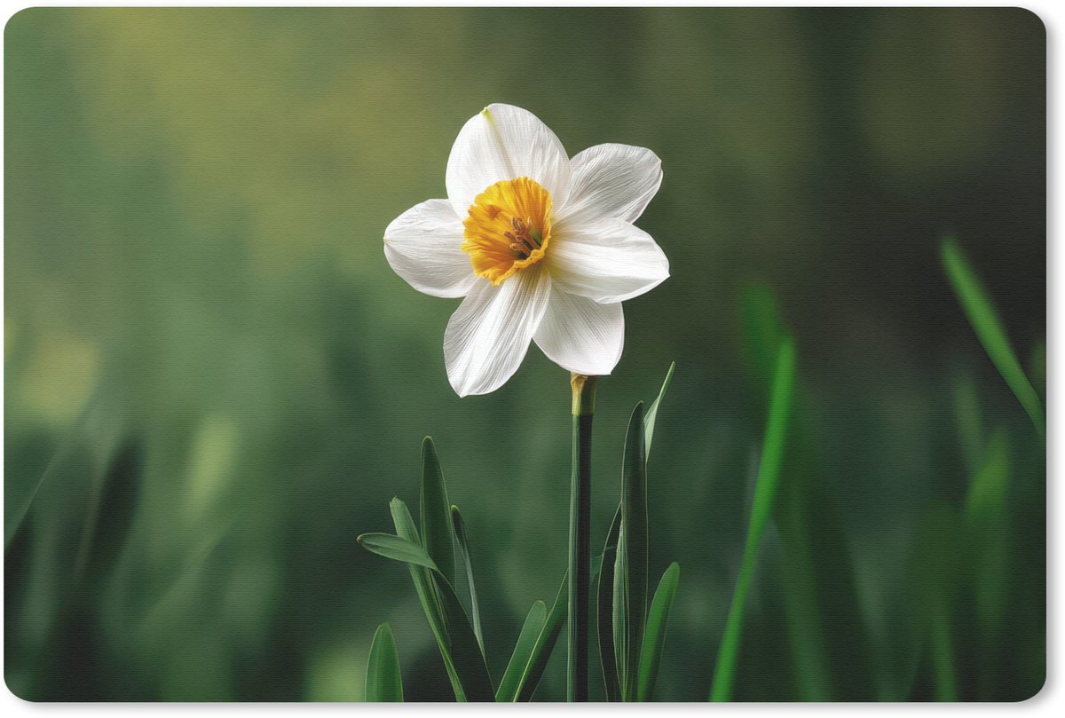Muismat 27x18 cm - Mousepad Narcis - Bloem - Wit - Grassprieten - Muismatten
