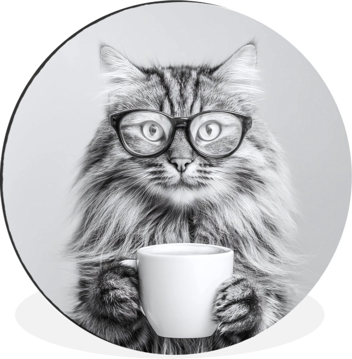 WallCircle Wandcirkel - Muurcirkel - Kat - Bril - Mok - Pluizig - Aluminium - Dibond - 60x60 cm - Binnen en Buiten Kat - Mok