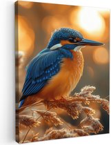 Tuinschilderij voor buiten 50x70 cm - Tuindecoratie IJsvogel - Herfst - Vogels - Zon - Natuur - Herfsttakken - Tuinposter op canvas - Tuin muurdecoratie - Buitenschilderij decoratie - Schutting wanddecoratie - Buitencanvas