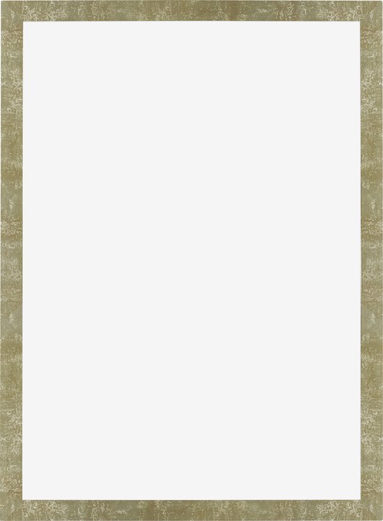 Homedeco-24 fotolijsten Monaco 66,8 x 97,5 cm in antiek goud met