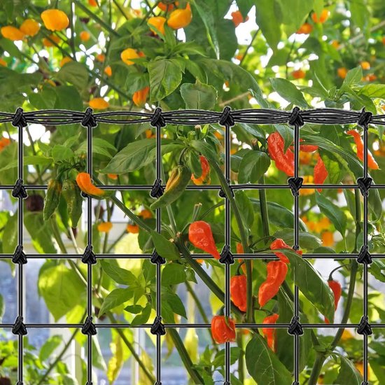 Trellis recht hardhout 180 x 60 cm