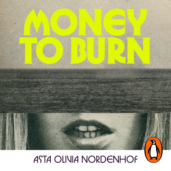 Money to Burn - cover