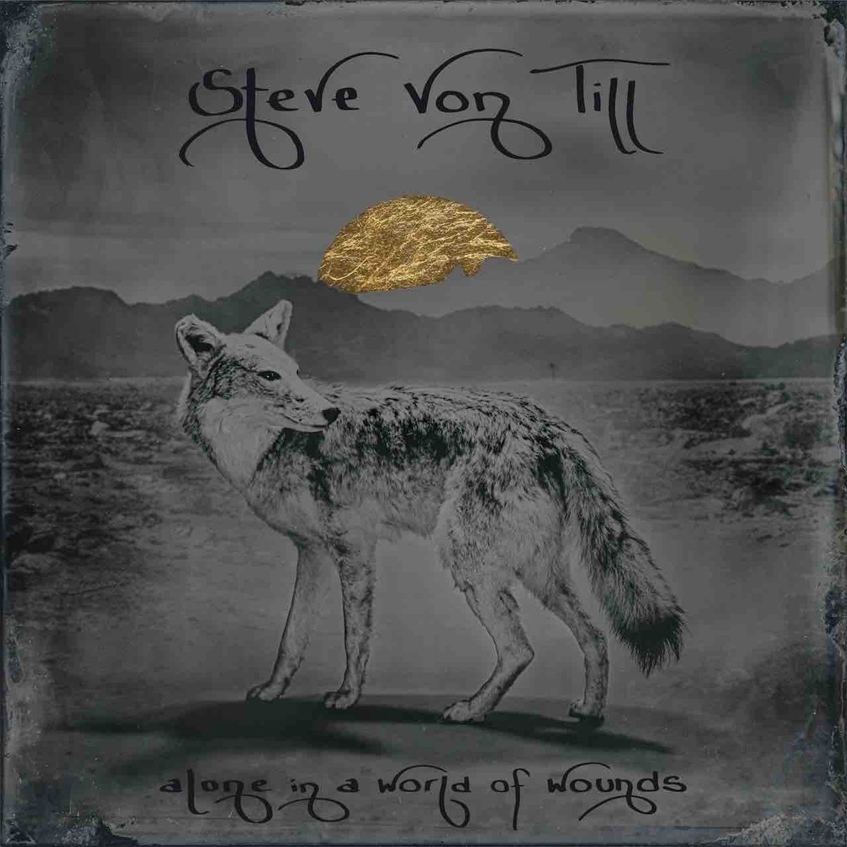 Steve Von Till - Alone In A World Of Wounds (LP)