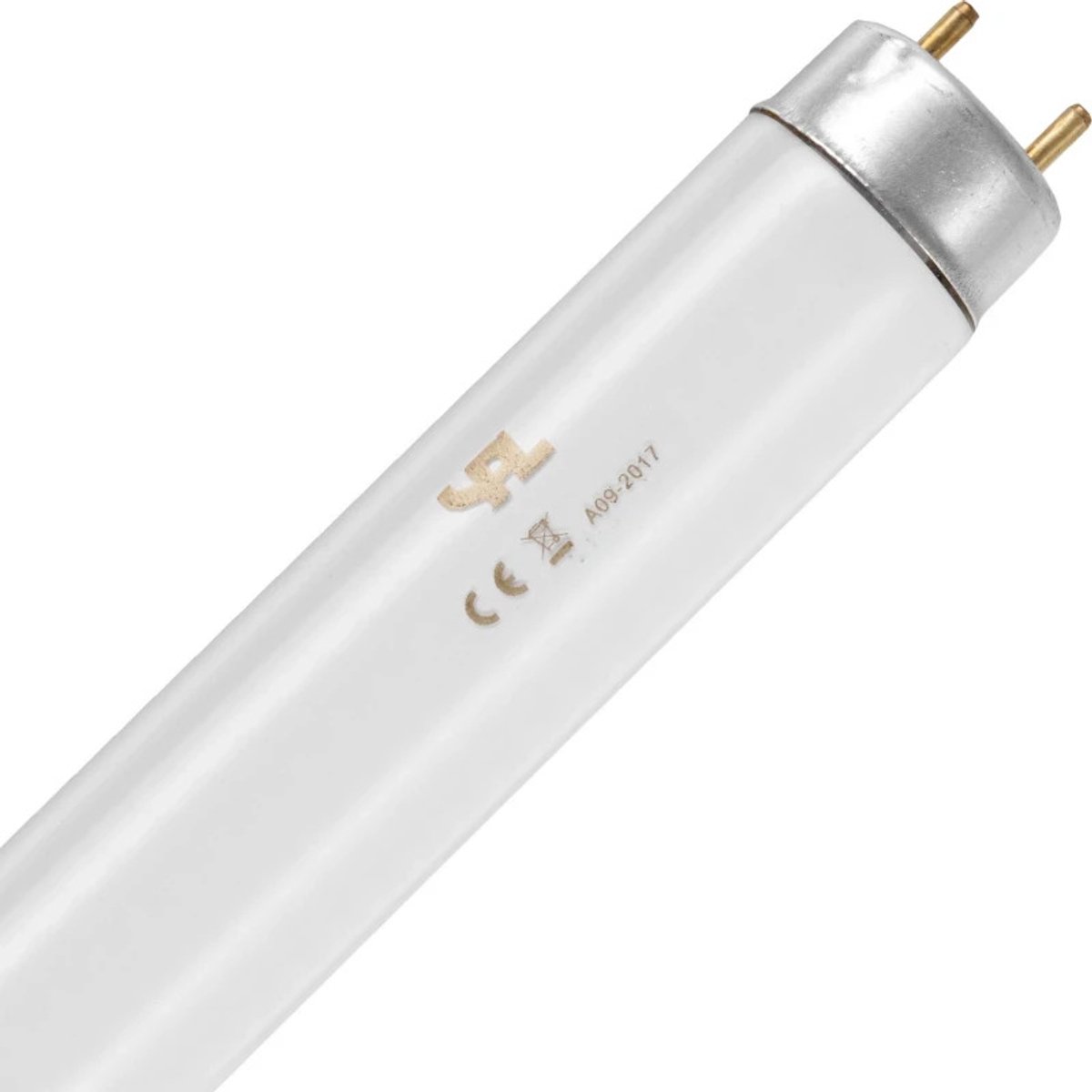 Schiefer G13 T8 TL-Buis | 18W 6500K 1250lm 865 | 604mm