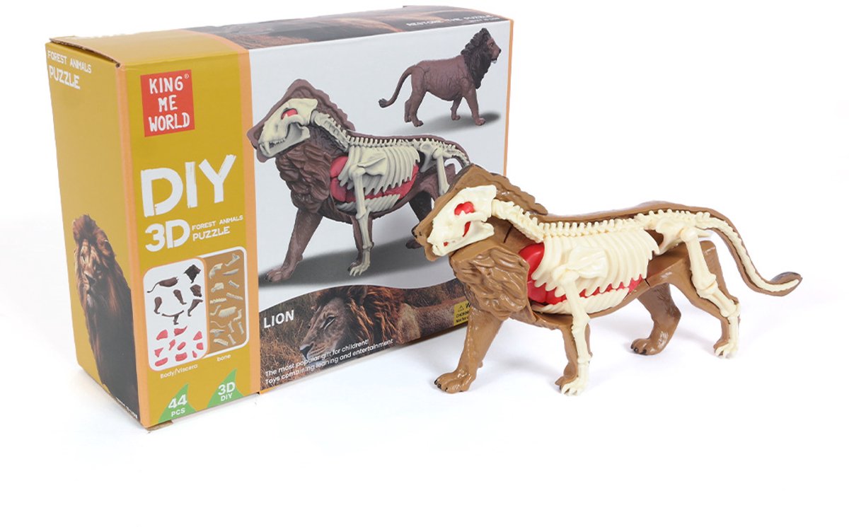 PIA Soft Toys - 3D Anatomie - Leeuw