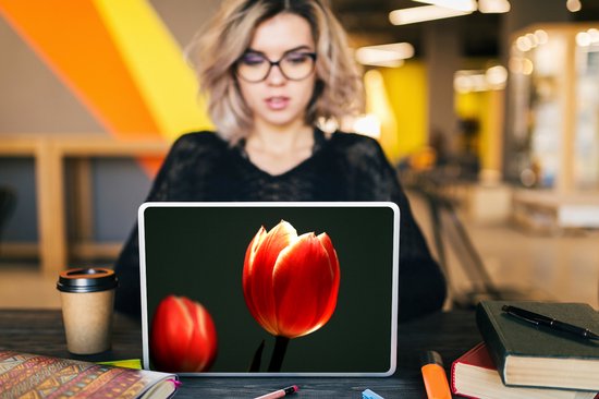 Sticker pour ordinateur portable - 11,6 pouces - La lumière brille sur la tulp rouge