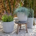 Drie gestreepte bloempotten in grijs en wit met diverse planten, in een tuin.