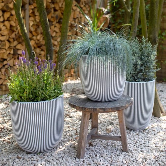 Drie gestreepte bloempotten in grijs en wit met diverse planten, in een tuin.