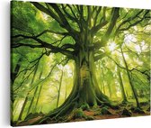 Artaza Canvas Schilderij Grote Groene Boom in het Bos - 120x80 - Groot - Foto Op Canvas - Canvas Print