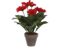 Mica Decorations Gerbera Kunstplant in Bloempot Stan - H35 x Ø30 cm - Rood