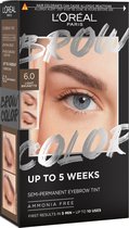 L'Oréal Paris Brow Color wenkbrauwverf - getinte wenkbrauwen tot wel 5 weken* - resultaten na 5 min. - 6.0 Light Brunette - 30 ml