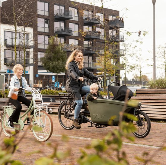 Maxi Cosi beugel voor bakfiets Steco Mini-Mee van Steco — afbeelding 3
