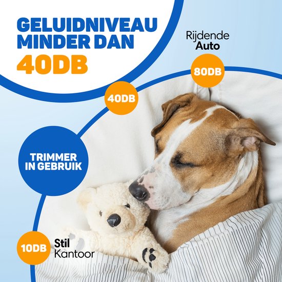 Hond slaapt naast teddybeer, met tekst: 'Geluidsniveau minder dan 40dB'. Vergelijking met rijdende auto (80dB) en stil kantoor (10dB).