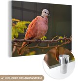MuchoWow® Glasschilderij 90x60 cm - Schilderij acrylglas - Tortelduif - Takken - Vogel - Foto op glas - Schilderijen