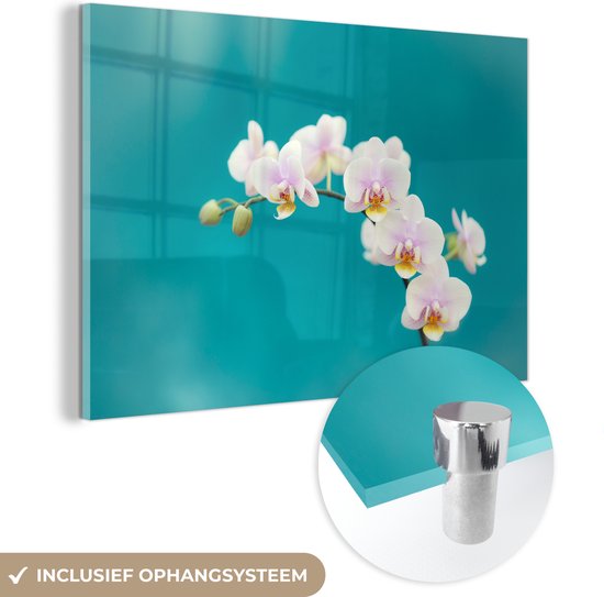 MuchoWow® Glasschilderij 30x20 cm - Schilderij acrylglas - Orchidee - Bloemen - Plant - Wit - Paars - Foto op glas - Schilderijen