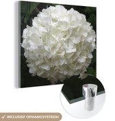 MuchoWow® Glasschilderij 90x90 cm - Schilderij acrylglas - Witte hortensia - Foto op glas - Schilderijen
