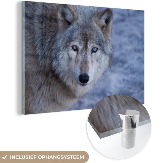 MuchoWow® Glasschilderij 60x40 cm - Schilderij acrylglas - Kop van grijze wolf - Foto op glas - Schilderijen