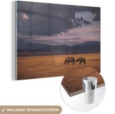 MuchoWow® Glasschilderij 90x60 cm - Schilderij acrylglas - Neushoorns - Safari - Foto op glas - Schilderijen