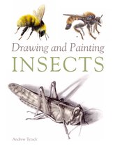 Drawing & Painting Insects