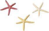 Aqua Della - Aquariumdecoratie - Vissen - Starfish Mix S - 10cm - 1st