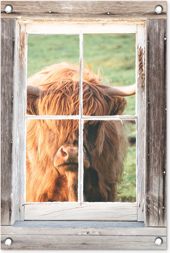 Tuinposter Schotse hooglander - Raam - Hout - Doorkijk - 40x60 cm - Tuindoek - Buitenposter