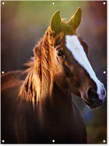 Tuinposter - Tuindoek - Tuinposters buiten - Paard - Licht - Vacht - 90x120 cm - Tuin