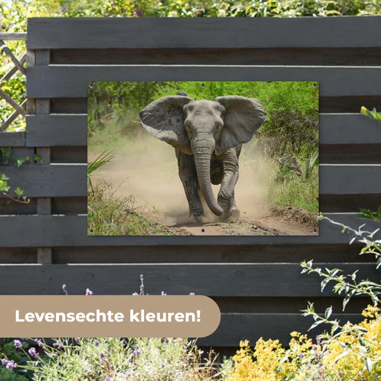 Affiche Running Elephant Garden 120x80 cm - Toile de jardin / Toile d'extérieur / Peintures d'extérieur (décoration de jardin)