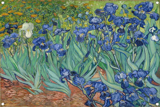 Irissen - Vincent van Gogh tuinposter - Irissen tuinposter - Tuinposter Bloemen - Buiten decoratie - Schuttingdoek - Poster tuinposter 60x40 cm