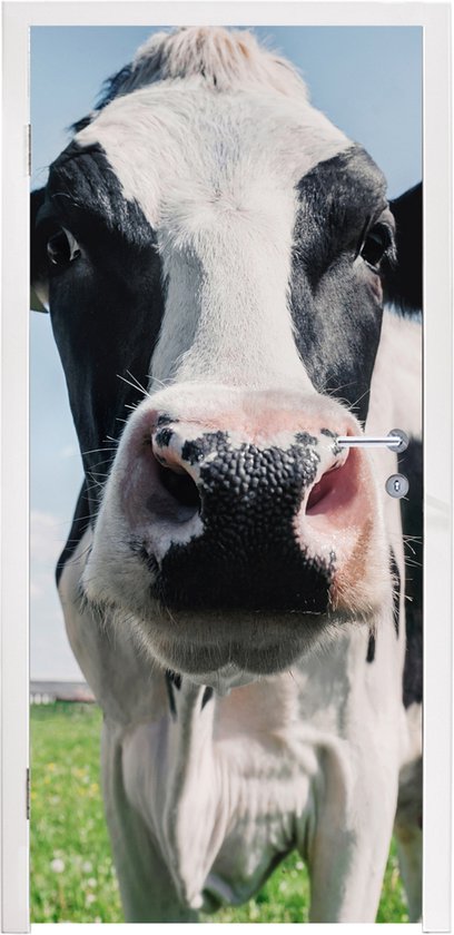 Sticker de porte Vache - Pâturage - Nature - Animaux - Herbe - 75x205 cm - Poster de porte