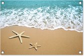 Tuindecoratie Zeester - Strand - Zee - 60x40 cm - Tuinposter - Tuindoek - Buitenposter