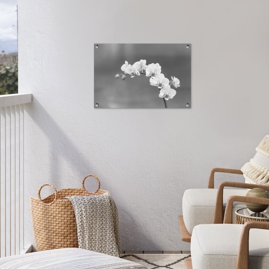 Décoration de jardin Orchidée - Fleurs - Plante - Wit - Violet - 60x40 cm - Poster jardin - Toile jardin - Poster extérieur