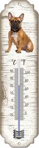 Thermometer: Bulldog | Hondenras | Temperatuur binnen en buiten | -25 tot +45C