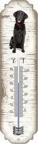 Thermometer: Flatceuted Retriever | Hondenras | Temperatuur binnen en buiten | -25 tot +45C