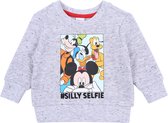 Grijs Mickey Mouse sweatshirt DISNEY BABY